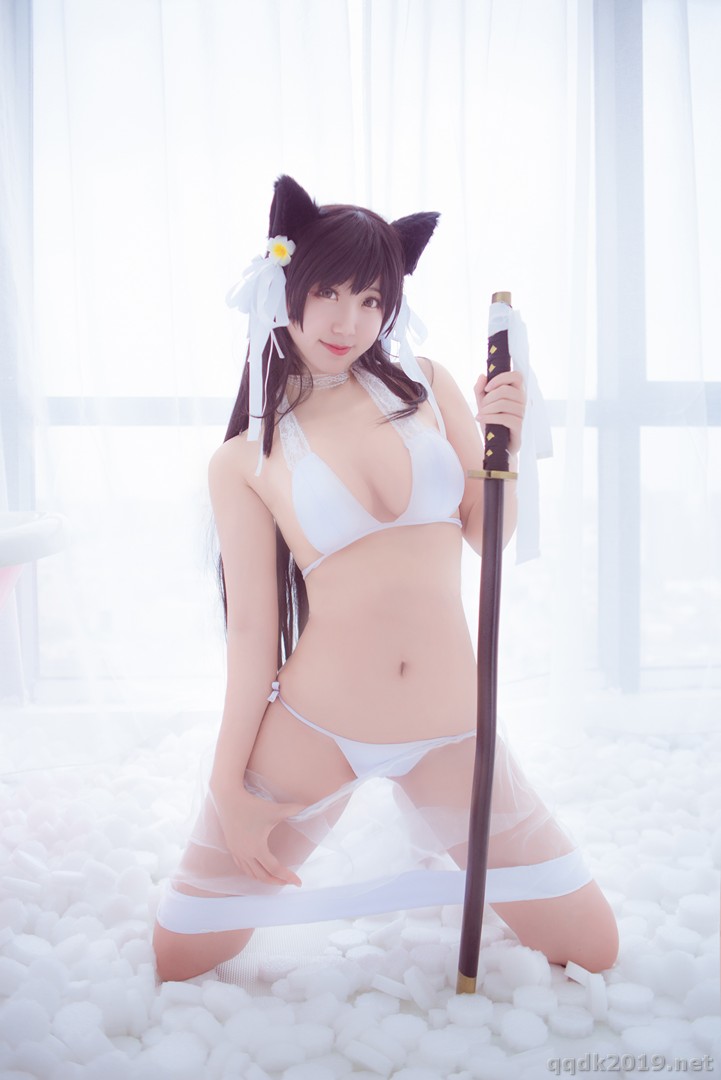 Coser-Kurokawa-012.jpg