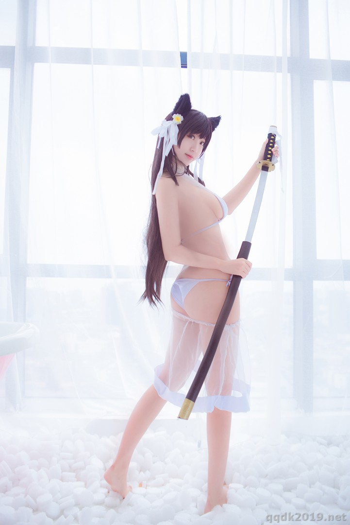 Coser-Kurokawa-008.jpg