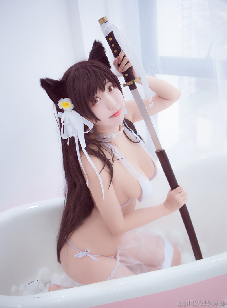 Coser-Kurokawa-015.jpg