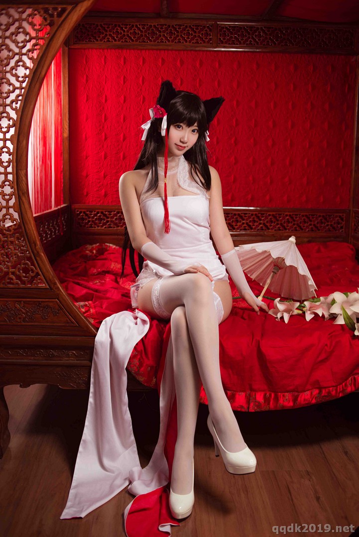 Coser-Kurokawa-014.jpg