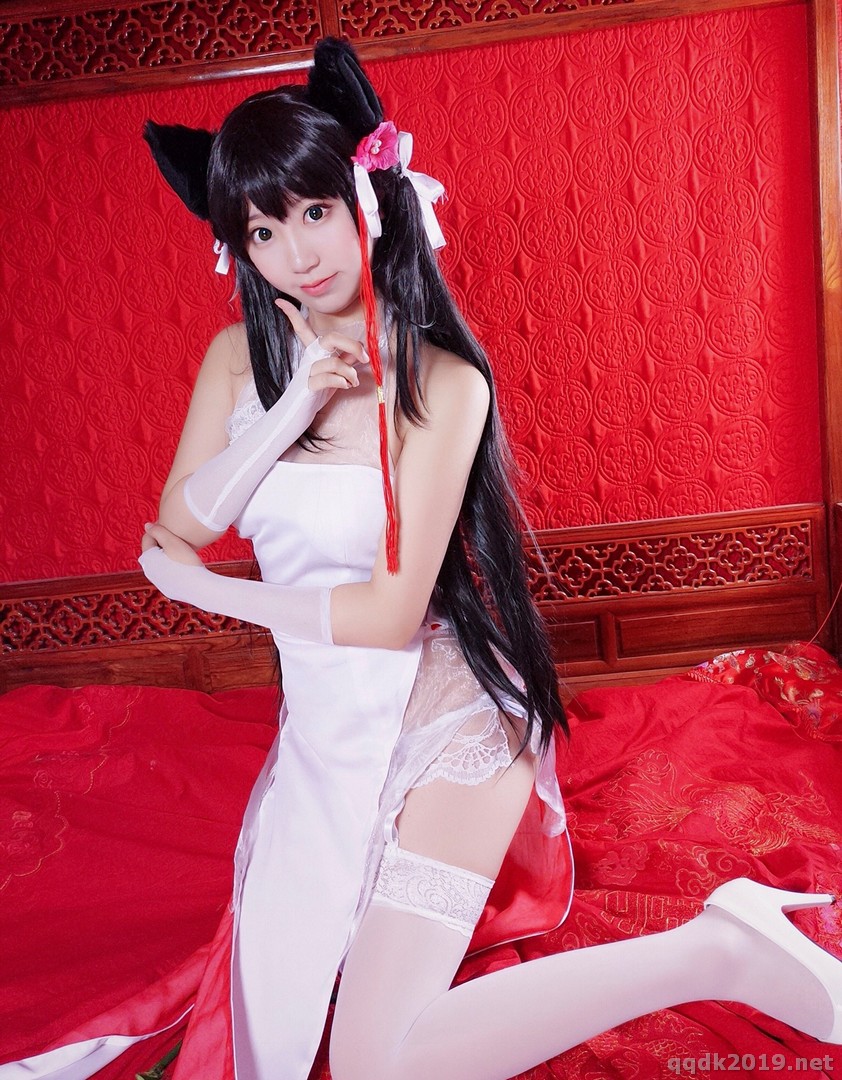 Coser-Kurokawa-022.jpg